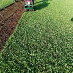 Imagen de WhatsApp 2023-10-26 a las 13.44.50_78c2504c